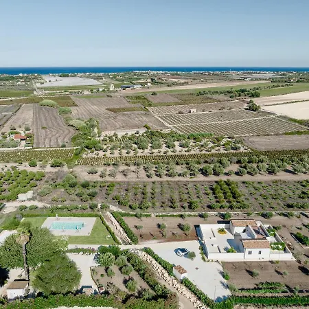 Il Gelso E L'ulivo *