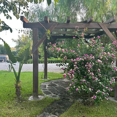 Il Gelso E L'ulivo Villa